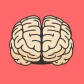 What is on the brain.
