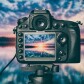 Photography Contest