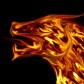 FireX