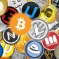 Bitcoin Vs Altcoin