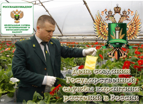 ee912da3dc271f4aed406eea003241b39d4fd310639eb5d98b8968b10c203a65.png