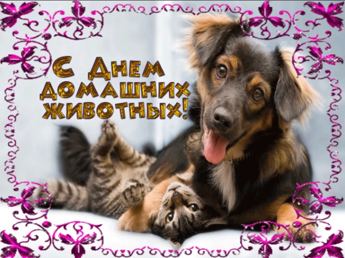 146651b8aca32ac8cae668662ef7b7053079d38a891316e93d82ccbb3637826b.png