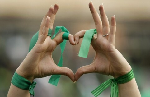 Green movement of Iran, The Story of Resistance and Blood