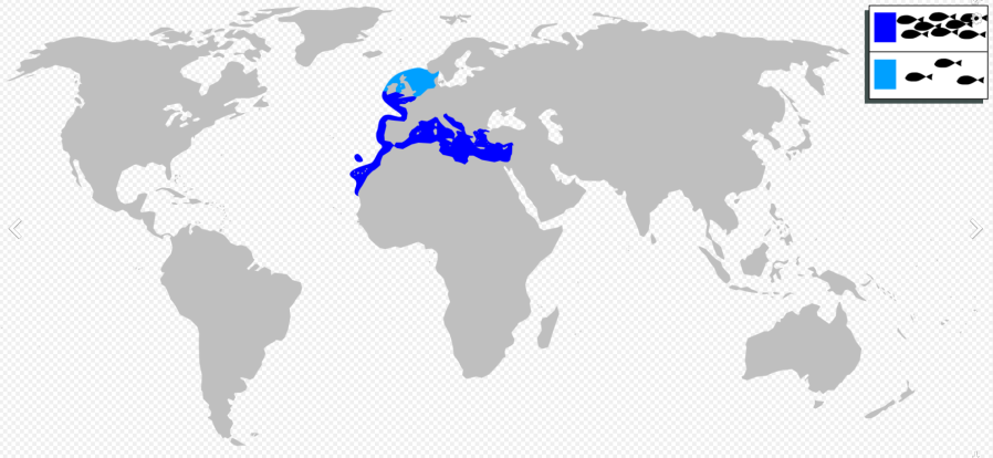 e71ad13b28584357646a55256da0cf113a7a806b674660df2e13fdedf2de2e2a.png