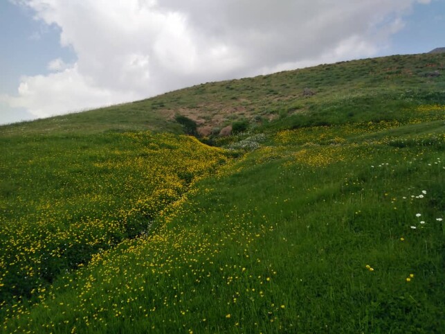 Touring Mountain Villages | “Qaargol” A Challenging Summit Ahead
