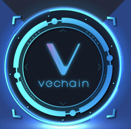 vechain blockchain