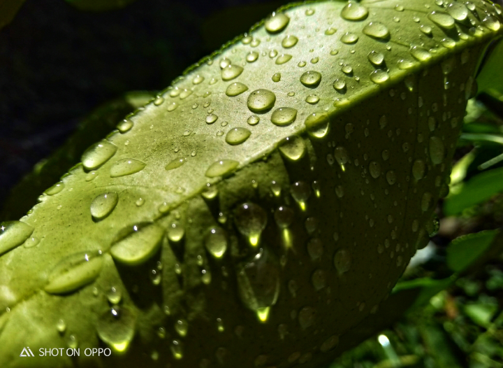 1cfb99fc28fa6a13cbd66eb3a31041507c0b0c936c398c943f654aa6977be6bc.png