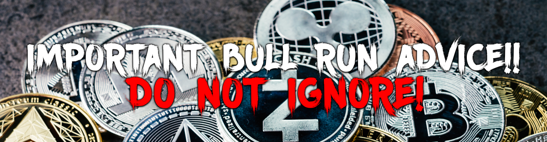Altcoin Bull run season advice!