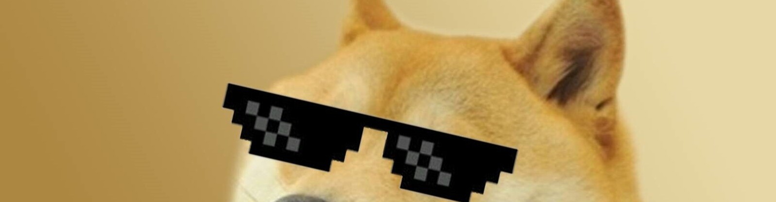 Doge coin how did it start???
