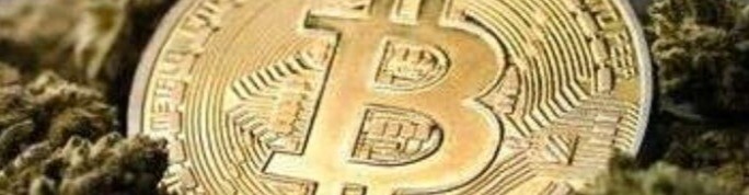 cryptocannabis