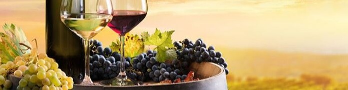 Vino Italiano - Blog dei Vini Italiani