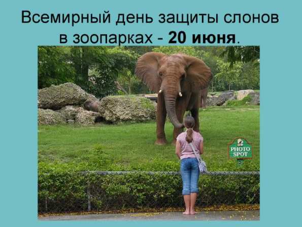 588e7d2f51e01360e85e7f059d3ab86e260464b3681f395ca688bcae2e3cf8d1.png