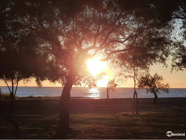 sun