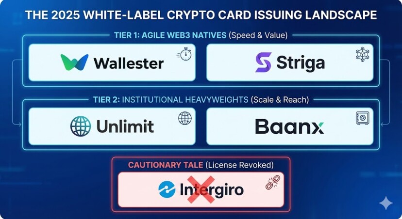 Comparison chart of top white-label crypto card providers in 2025. Tier 1 Agile Web3 Natives (Wallester, Striga) vs Tier 2 Institutional Heavyweights (Unlimit, Baanx), with Intergiro marked as a regulatory compliance risk warning.