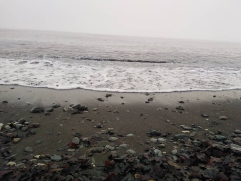 Riding in the Fog, Once Again, An Invisible Adventure