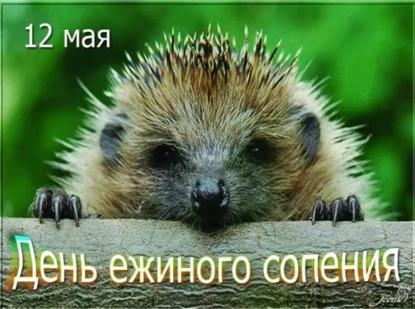8cc769d8b3411ed01b60a7a3357f5e8269cec06bd8b8f6231aad62287987f694.png