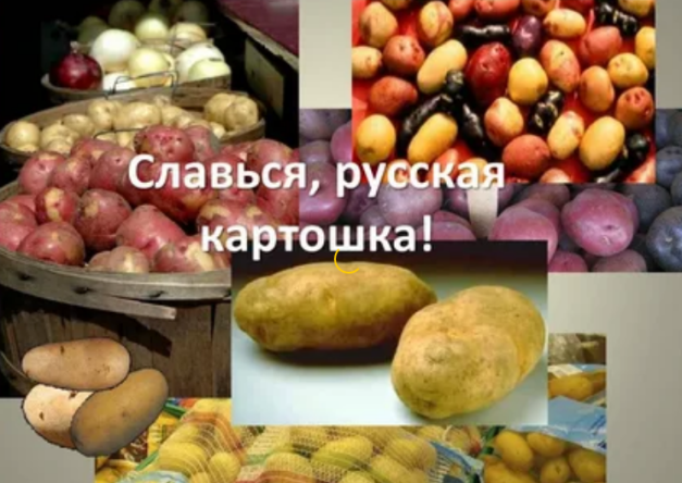 3a7edc973b2aef94c4fd14bb3c3ccd76ecb00007be38b0b9406dc5f58606c3c6.png