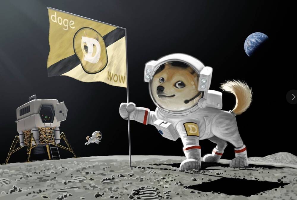 doge, cryptocurrency