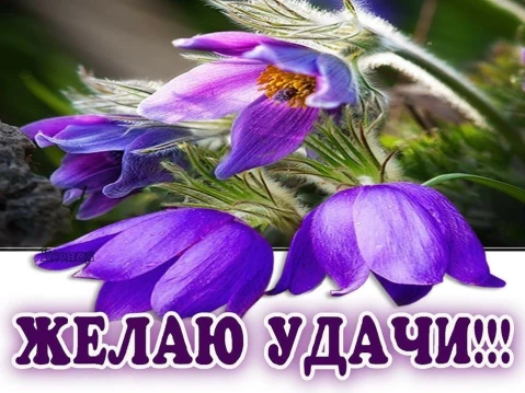 1db6e6aa658493bda217a2b1bb1dda141df745f70e5dace4e74cbeca8726d1dc.jpg