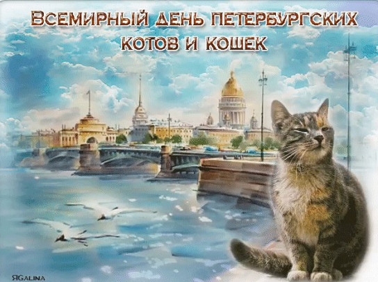 c9b2290bea68750e3aa3a7caf3e659c0dea22e353fb4ea92f3fb45e5471890a3.png