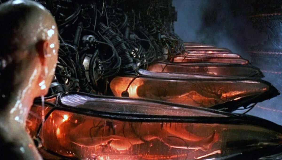 The Matrix ⸺ Human batteries in their pods