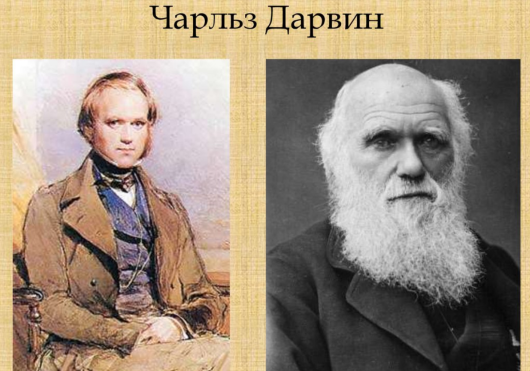 7d5b16fe7b656a6ea11e71996eb782894a2a6e945c9f39cd3d6989e2fd45c87c.png