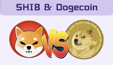 shib, cryptocurrency, doge killer