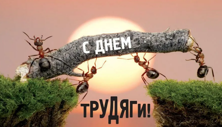 d434d01109a211f9b29eb5a74003c8e12bb92f11e68b5d7a1dbfa3a1069c2cc6.png