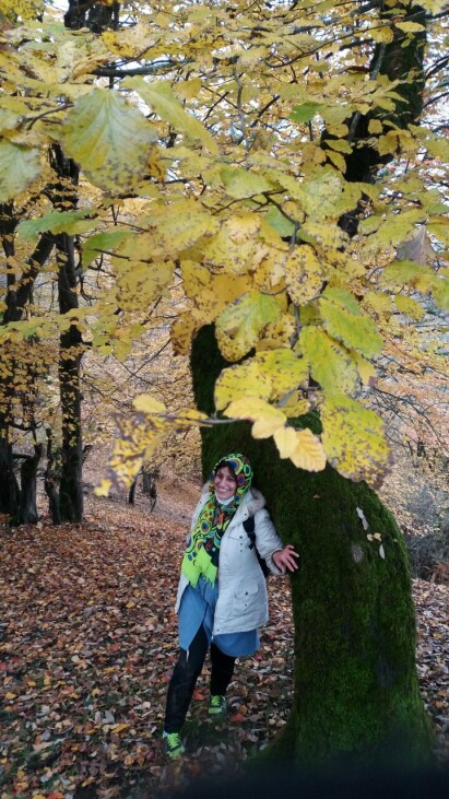 Photography of  Nature, autumn, Real Life story
