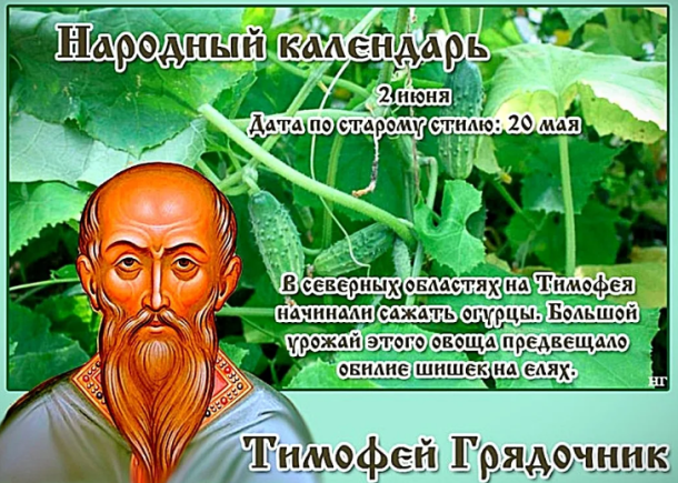 969a25d3beeacc7e64851f1e3ddba8b533e15d119e71b680aab8a4169599a499.png