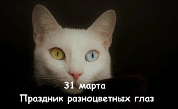 221339e529d946ac6e25edacb8967be335b893ecda3b323c3c212591fc504a27.png
