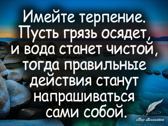 8859778504c1af7f4c95cad0328657e6a5d31e24d9e675a461716bf776bb6195.jpg