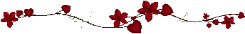 9e360978c9c1f8fec0a52985623aeed9a8ea37400c5fc786d202b6af24a14c62.gif