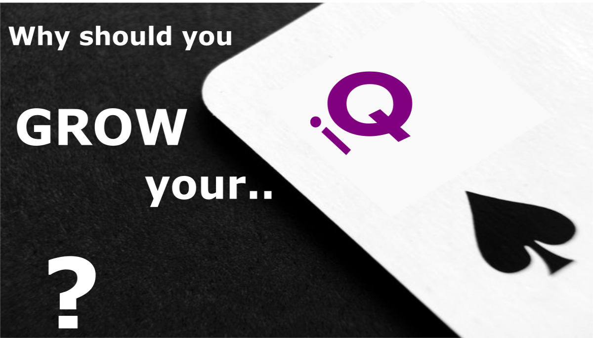 What is IQ?