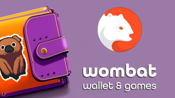 Wombat Wallet review image.