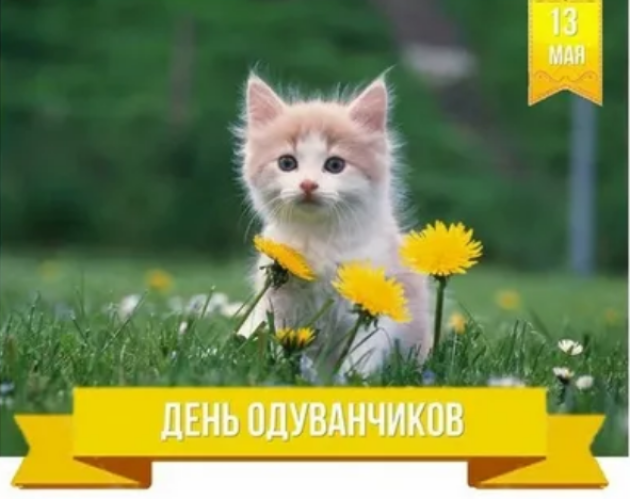 3d623ab182c4b17fb3f55b94fc7d7bd0c80d95f5935a9d046475f89d0efba02a.png