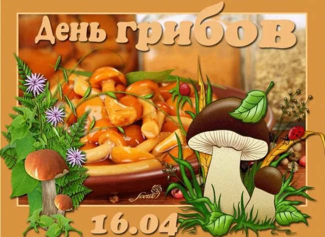 97b7e7f7cc6943f371f731af84c719918cce24500f770a61ad665dae3d67c045.png