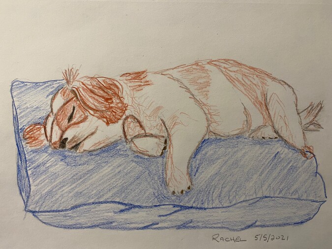 Doggy Rachel napping - Colored pencil
