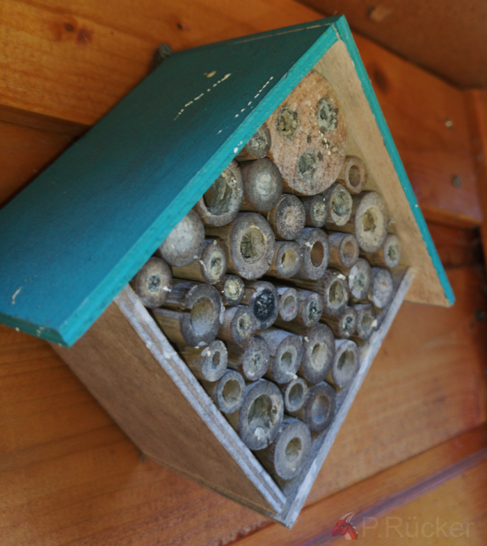 small purchased bee house