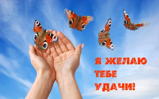 d983e870b22118fecc493a8738f2c2860087cc3b48248ac10e36386d1a83574b.jpg
