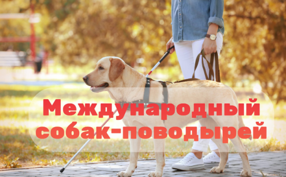dc5f8e4b9b8b06cc77ffe5ac6fc29af86cd5ef079897e3b739e8ab9792b2385e.png