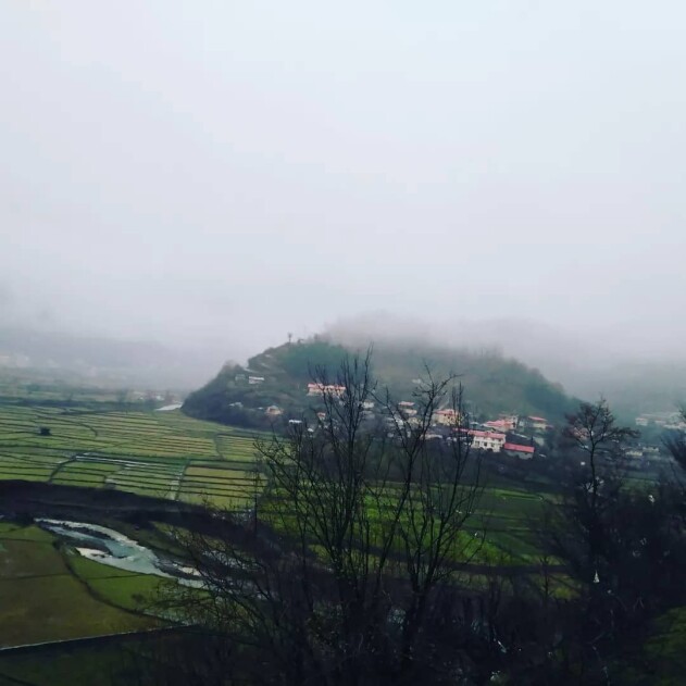 The End of Century Is Here, The Last Morning Walk