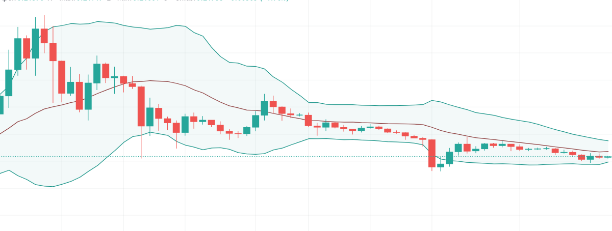 Dogecoin bear market