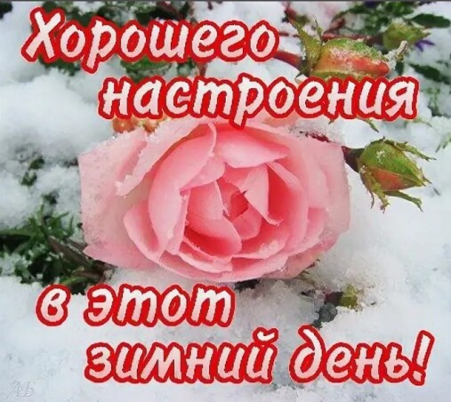 ed8de5e2f4d132d0f9ed4f220e2d532dd7910b8d833b215b0b88b12f86a0d778.jpg