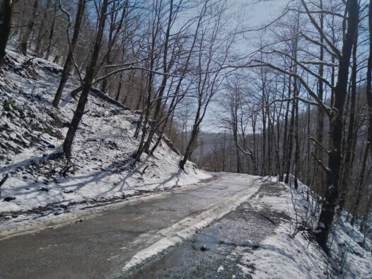 We Passed The Blossoms &amp; Reached The Frozen Mountain Road