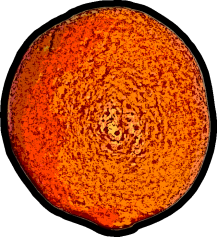 190903265-e4b04f11bf0ddfaa7d8b19a5ea3bd9056582b7eeb742859e08fa660ab3257434.png