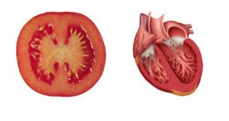 Tomatoes