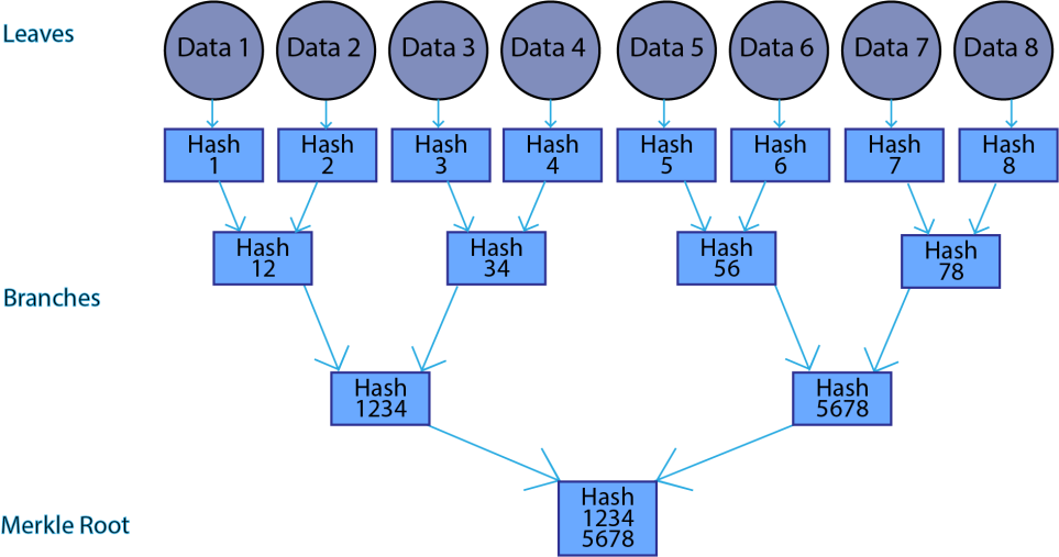 Merkle Tree Example