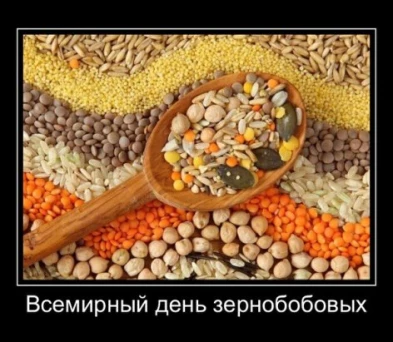 636f1a87bf1088e23f8a8d87bb77763a720dd298e3b6ab58f53f248e604a6a07.jpg