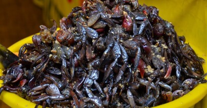 Hawaiian Salted A'ama Crab